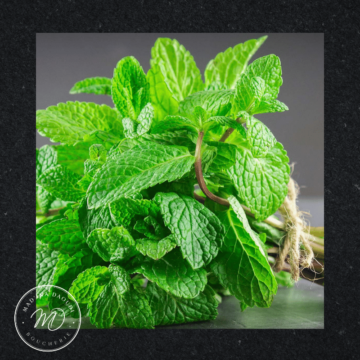 Boucherie Madina Daoudi - 
Pack 3 Menthes