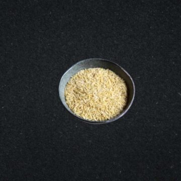 Madina Daoudi - 
Langue d'Oiseau 500g